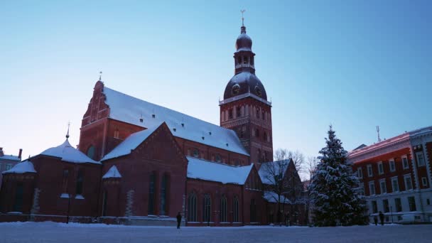 Mercados de Navidad en Riga. Letonia con un hermoso árbol de Navidad — Vídeo de stock