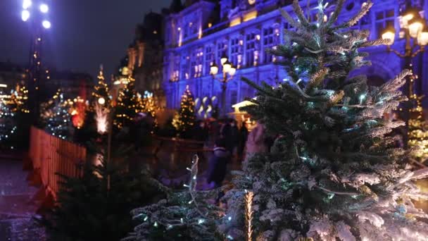 Magiczny świąteczny duch targu w Paryżu. Świętujemy Sylwestra. — Wideo stockowe