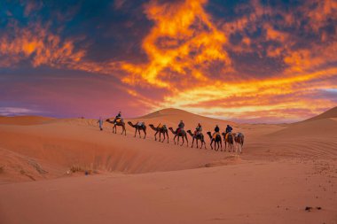 Bedeviler çölde turistlerle dolu bir kervana önderlik ediyor.