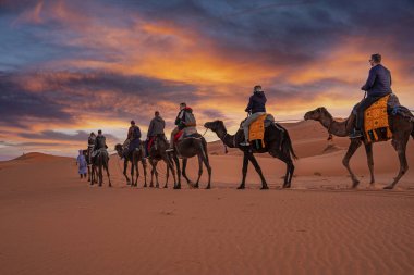 Bedeviler çölde turistlerle dolu bir kervana önderlik ediyor.