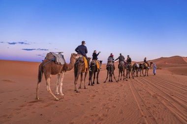 Bedeviler çölde turistlerle dolu bir kervana önderlik ediyor.