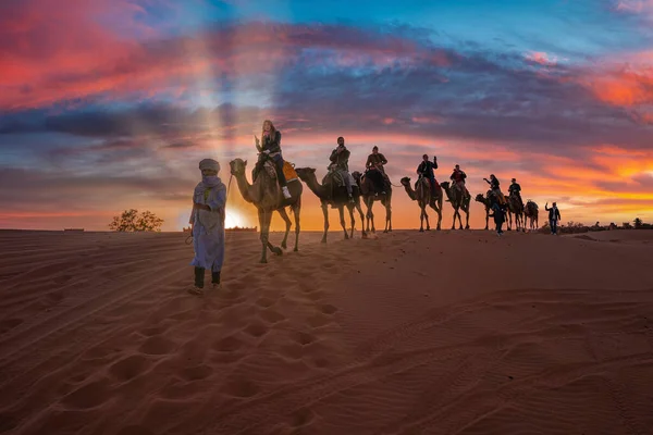 Beduino conduce carovana di cammelli con i turisti attraverso la sabbia nel deserto — Foto Stock