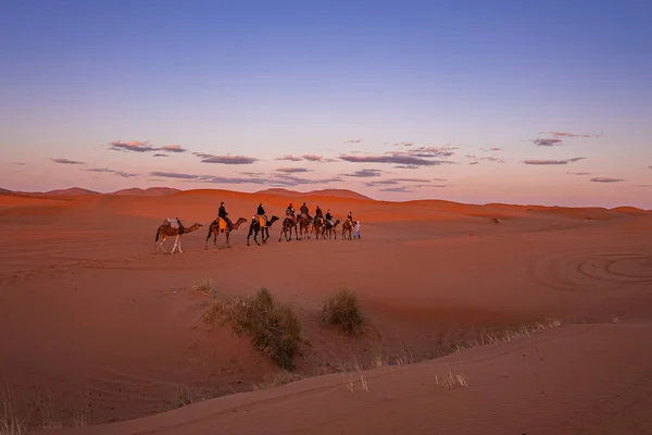 Caravan of camels with tourists going through the sand in desert — Zdjęcie stockowe