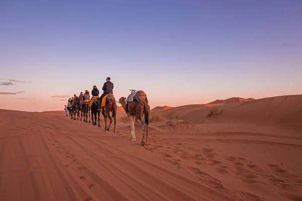 Caravan of camels with tourists going through the sand in desert — Stock Photo, Image