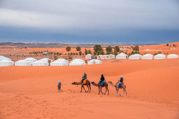 Beduino conduce carovana di cammelli con i turisti attraverso la sabbia nel deserto — Foto Stock