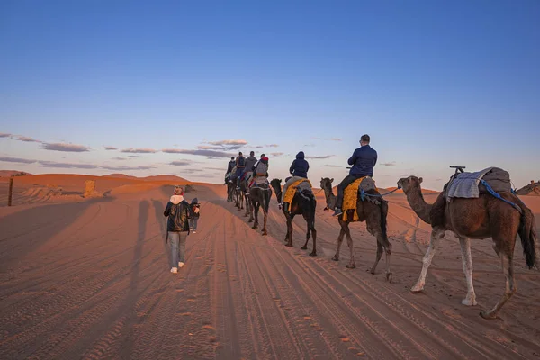 Caravan of camels with tourists going through the sand in desert