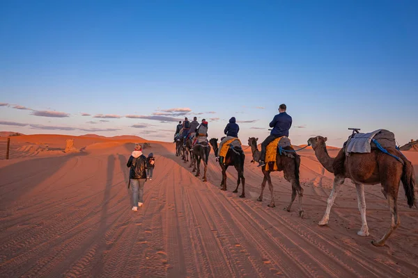 Caravan of camels with tourists going through the sand in desert — Stockfoto