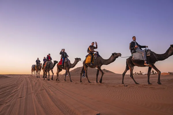 Caravan of camels with tourists going through the sand in desert — стоковое фото