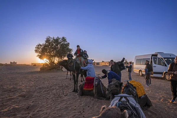 Bedouins preparing trip for tourist mounted on camels to ride off — Zdjęcie stockowe