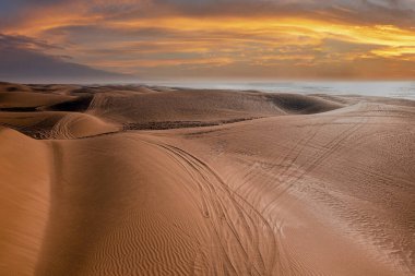 Sandy dunes at the beach with tyre tracks at Essaouira province