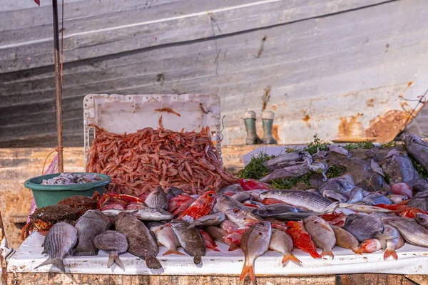 Colorful various raw fish displayed on table for sale at market — Fotografia de Stock