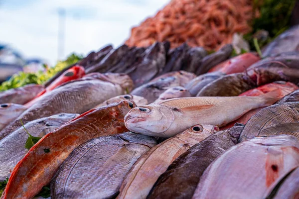 Closeup of colorful various raw fish displayed for sale at market — Fotografia de Stock