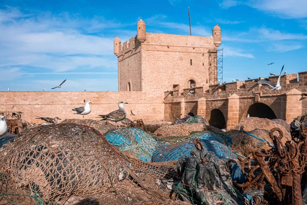 Seagulls perching on fishing net and flying around historic tower — Φωτογραφία Αρχείου