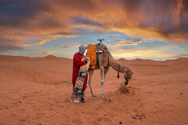 Hombre en ropa tradicional con sandboard de pie junto a camello en el desierto — Foto de Stock