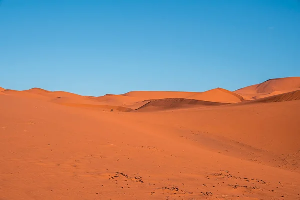 Amazing view of brown sand dunes in desert against clear blue sky — Zdjęcie stockowe