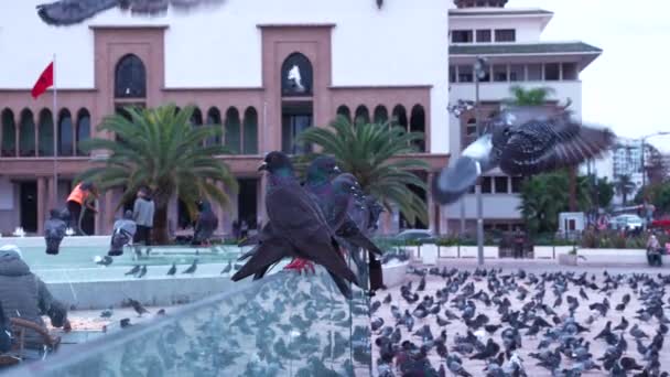 Дворец правосудия на площади Мохаммеда V в Касабланке — стоковое видео