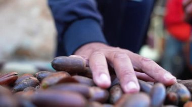 Pazar yerinde satılık argan fındığı ve tohum yığınını kapatın.