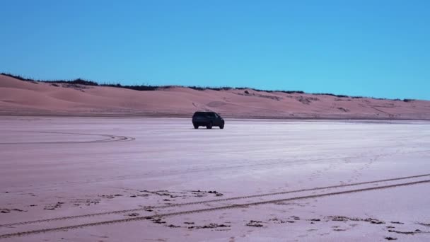 Offroad bil kör genom sanddyner på stranden på ljusa soliga dagen — Stockvideo