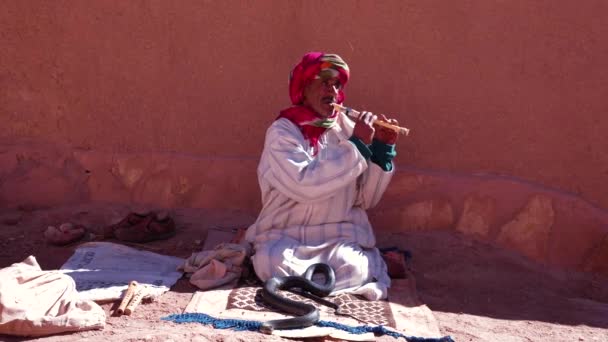 Snake charmer playing flute with snake on street — Stock Video