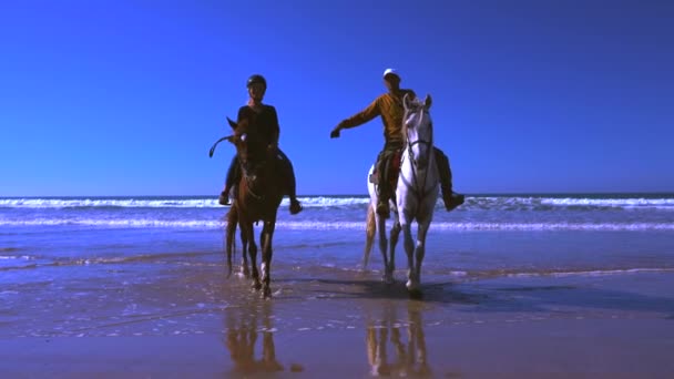 Αρσενικό άλογο εκπαιδευτής και γυναίκα ιππασία άλογα στο νερό στην παραλία στην ηλιόλουστη μέρα του καλοκαιριού — Αρχείο Βίντεο