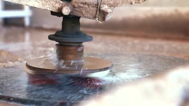 Leštění vyhynulého amoniaku nautilus fosilní zvířecí krunýř v kamenné zdi — Stock video