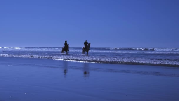 Instrutor de cavalo masculino e mulher montando cavalos na água na praia no dia ensolarado de verão — Vídeo de Stock