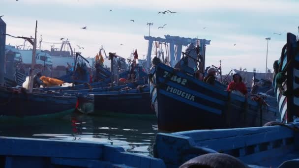 劇的な曇りの空に対してマリーナに停泊木製漁船 — ストック動画