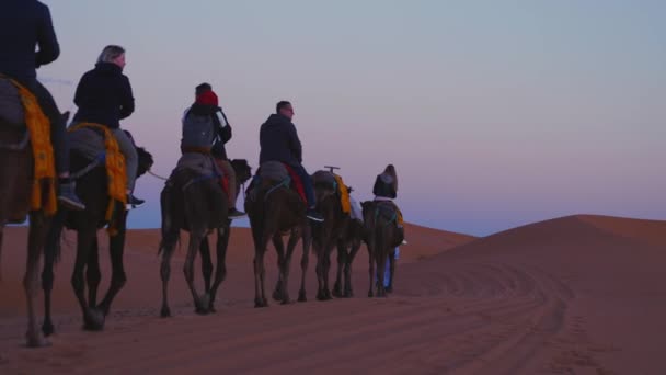 Бедуїн веде караван верблюдів з туристами через пісок у пустелі. — стокове відео