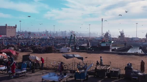 Barcos pesqueros de madera anclados en el puerto deportivo contra el cielo nublado dramático — Vídeos de Stock