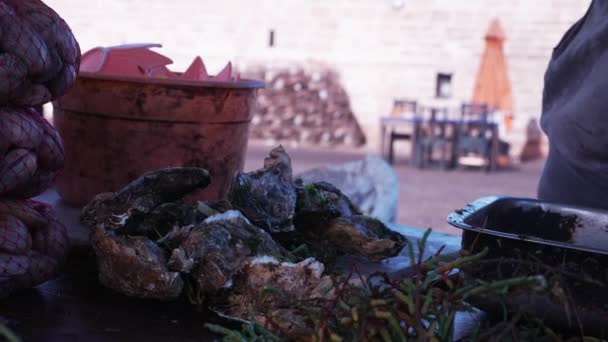 Крупним планом устриці з сирих морепродуктів, молюски з мушлями — стокове відео