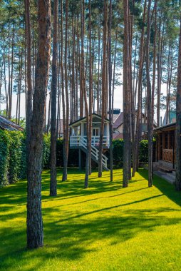 Yeşil arka bahçedeki ahşap ağaç ev güneşli bir günde ağaçlarla çevrili, bahçedeki ağaçta küçük bir oyun evi.