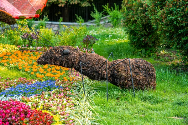 Piękna Postać Mrówki Trawy Stojącej Wielobarwnych Kwiatach Corocznej Wystawie Rzeźba — Zdjęcie stockowe