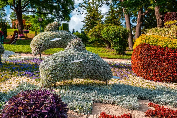 Vackra Delfiner Figur Gjord Vita Blad Årlig Blomsterutställning Solig Dag — Stockfoto