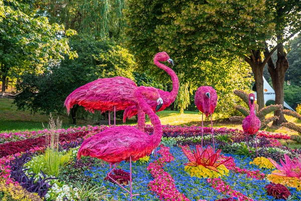 Vackra Rosa Flamingos Figur Står Flerfärgade Blommor Årlig Utställning Solig — Stockfoto