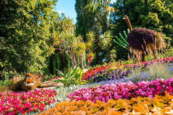 Vackra Djur Figur Blad Och Buske Årlig Blomsterutställning Solig Dag — Stockfoto