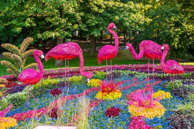 Güneşli bir günde her yıl düzenlenen sergide çok renkli çiçeklerin içinde duran güzel pembe flamingolar, parkta çeşitli renkli çiçeklerle çevrili Flamingo heykelleri.