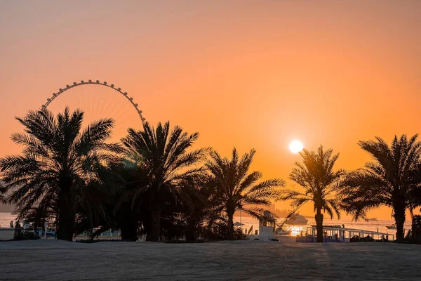 Ain Dubai, das größte Riesenrad der Welt. — Stockfoto