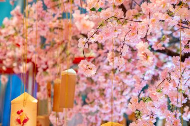 Çiçek açan pembe kiraz ağacının dallarında asılı olan dilek kartları kiraz ağacında asılı duran etiketler diliyor.