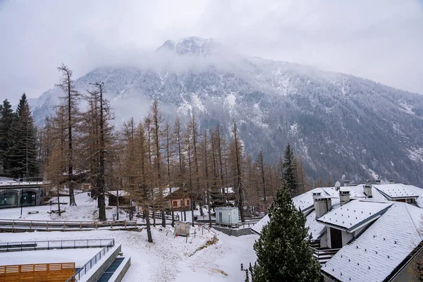 雪覆盖了房屋和树木 使之与山相对应 在阿尔堡的建筑物之间的松树林 冬季的景致 — 图库照片