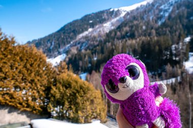 Dağdaki çam ağaçlarına karşı doldurulmuş sevimli oyuncaklar. Güneşli bir günde pofuduk mor peluş ellerin el ele tutuşması. Kışın tatilde en sevdiği oyuncak..