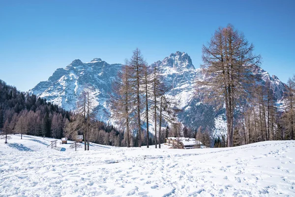Karla kaplı ev ağaçlarla kaplıydı. Açık mavi gökyüzüne karşı güzel görkemli dağlar. Kış boyunca Alp bölgesindeki beyaz manzaranın manzarası.