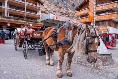 Zermatt, İsviçre. 15 Mart 2022. Yelesi örgülü, at arabası taşıyan güzel bir at. Geleneksel hayvanlı araç şehir meydanında. Alp bölgesinde dağa karşı dağ evi manzarası.