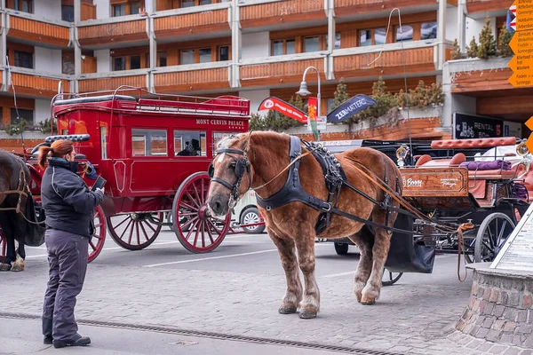 Zermatt Switzerland March 2022 Woman Looking Horse Carts Vehicles Parked — Stock Photo, Image