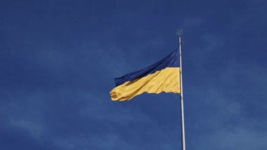 Ukrayna bayrağı rüzgarda dalgalanıyor. Mavi gökyüzüne karşı son derece detaylı kumaş dokusuna sahip kusursuz döngü.