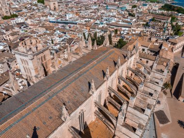 La Seu 'nun havadan görünüşü, İspanya' daki Palma de Mallorca 'nın ortaçağ katedrali