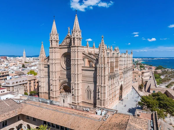 Aerial View Seu Gothic Medieval Cathedral Palma Mallorca Spain — Stock Photo, Image