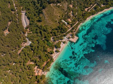 tropik cennet plaj beyaz kum ve coco avuç içi ile seyahat turizm geniş panorama arka plan kavramı