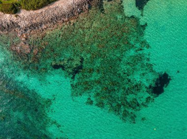 Playa de Formentor Cala Pi de la Posada , beautiful beach at Cap Formentor, Palma Mallorca, Spain
