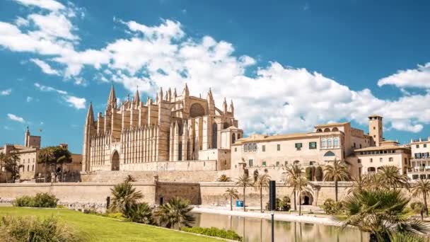 Zeitraffer Ansicht Von Seu Der Gotischen Mittelalterlichen Kathedrale Von Palma — Stockvideo