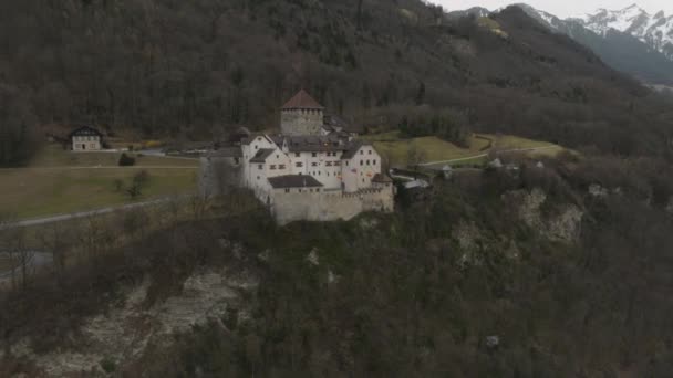 Aerial View Vaduz Capital Liechtenstein Beautiful Castle Liechtenstein — стокове відео